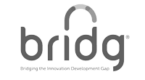 BRIDG – Bridging the Innovation Development Gap
