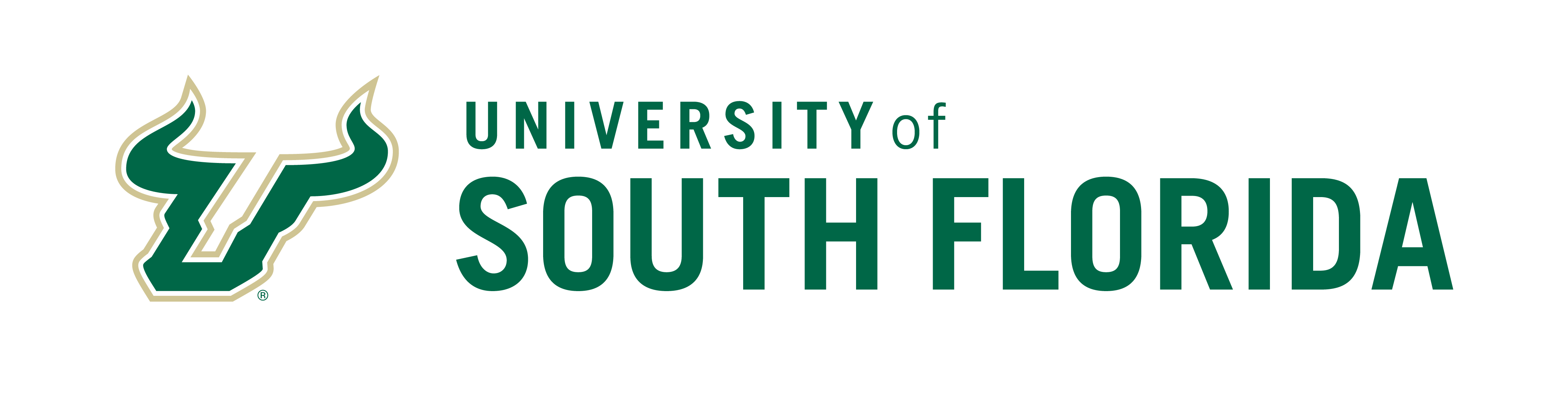 logo - University South Florida