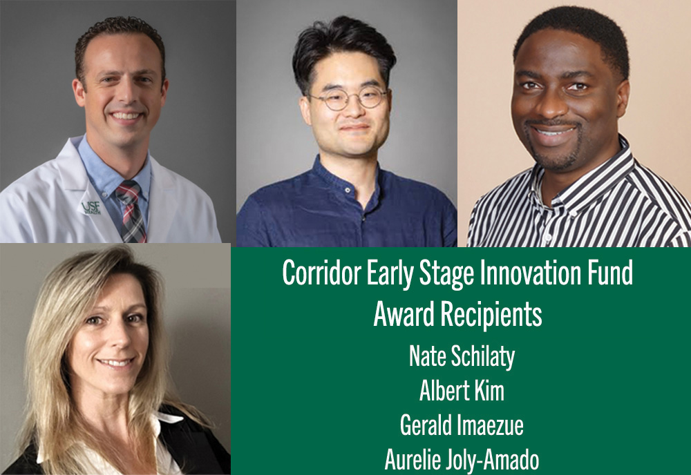 Collage of lead researchers on USF Early-Stage Innovation Fund projects